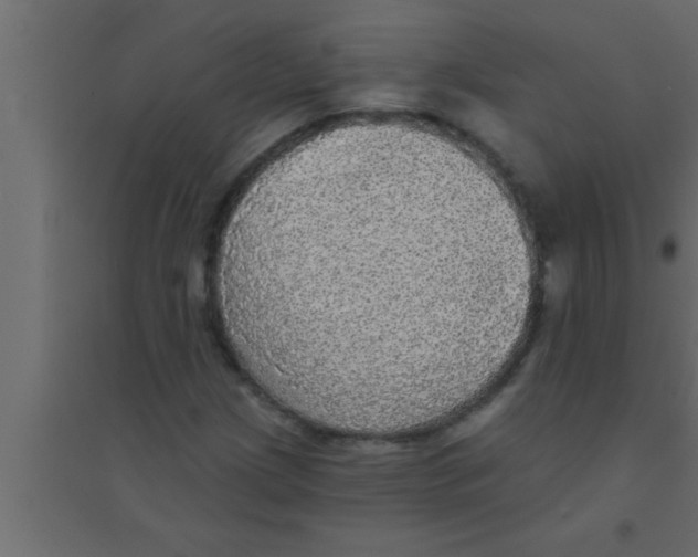 X0000094211209200711241652
