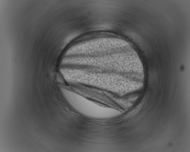 X0000094211210200711241652