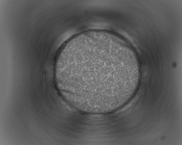 X0000094211211200711241652
