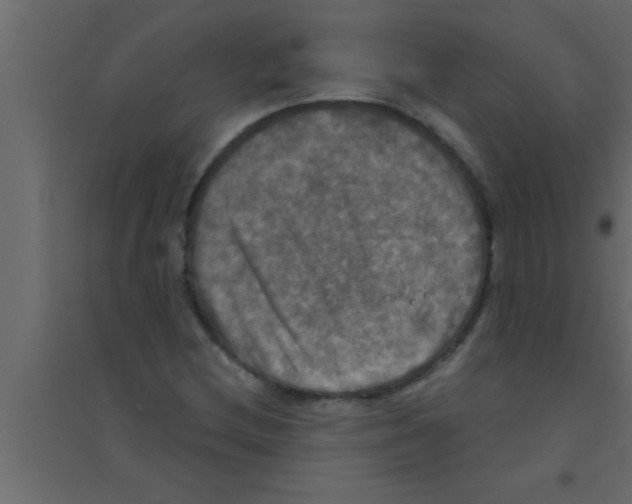 X0000094211212200711241652