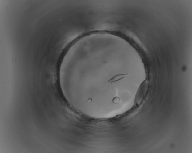 X0000094211213200711241652