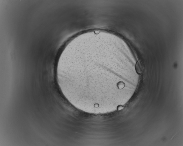 X0000094211214200711241652