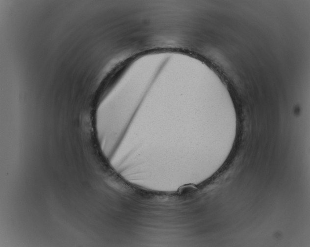 X0000094211218200711241652