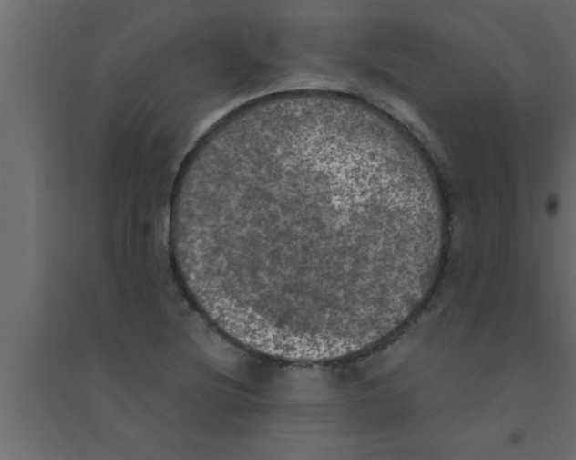 X0000094211220200711241653