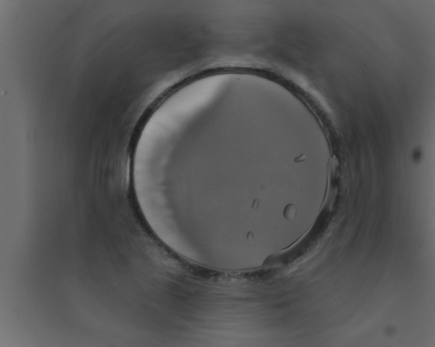 X0000094211221200711241653