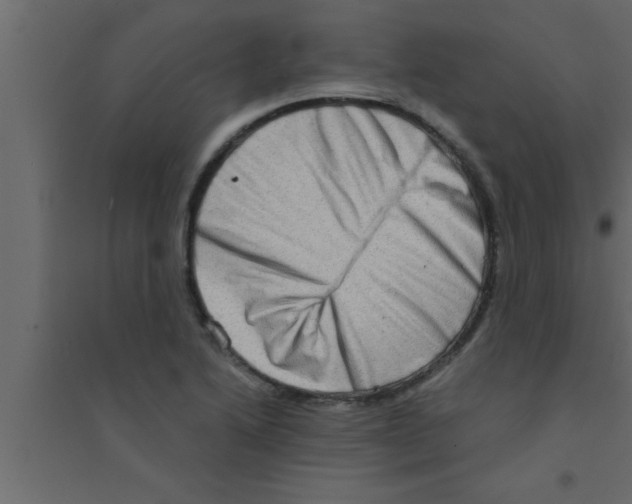 X0000094211222200711241653