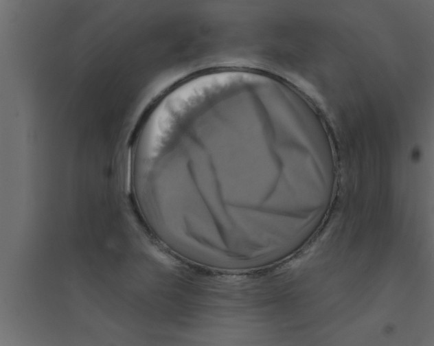 X0000094211223200711241653