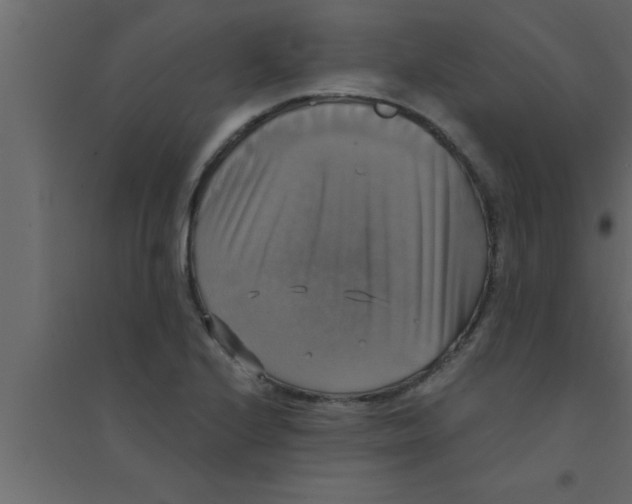 X0000094211224200711241653