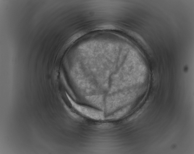 X0000094211225200711241653
