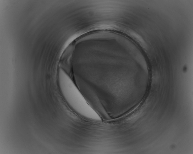 X0000094211226200711241653