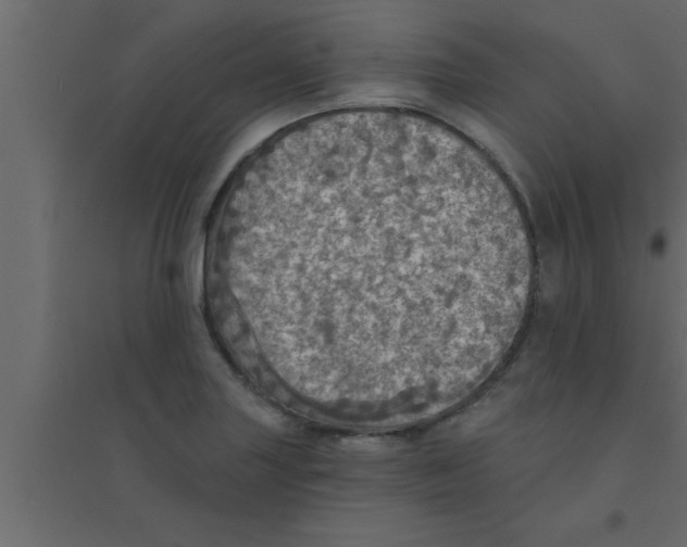 X0000094211227200711241653