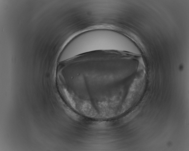 X0000094211228200711241653