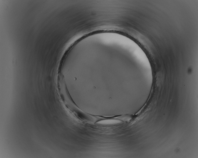 X0000094211229200711241653