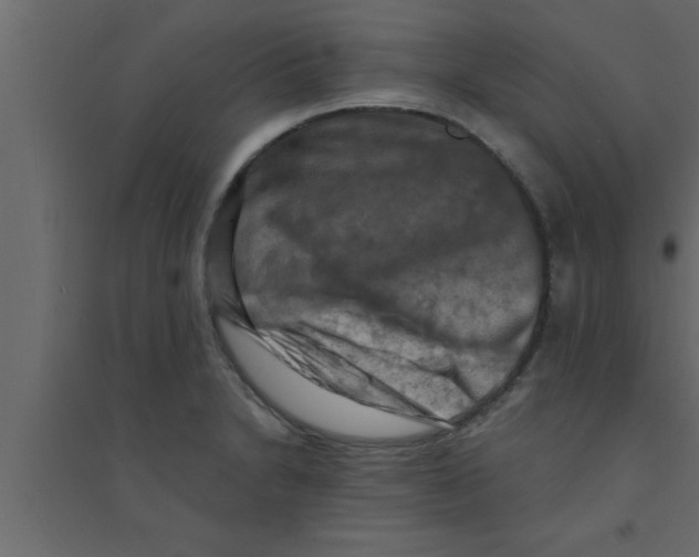 X0000094211230200711241653