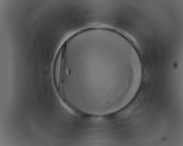 X0000094211231200711241653