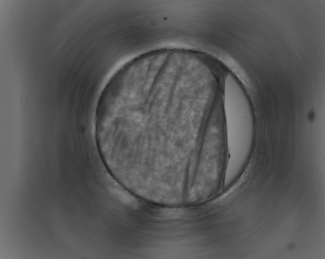 X0000094211232200711241653