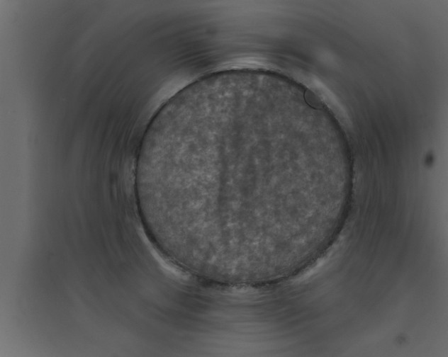 X0000094211233200711241653