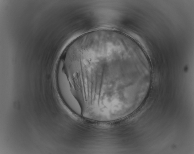 X0000094211235200711241653