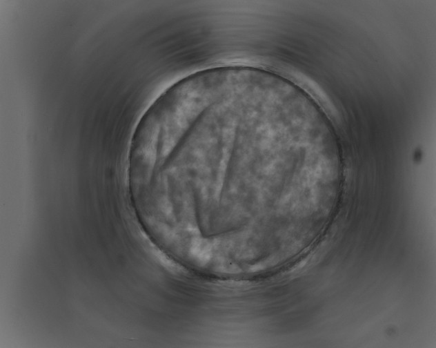 X0000094211236200711241653