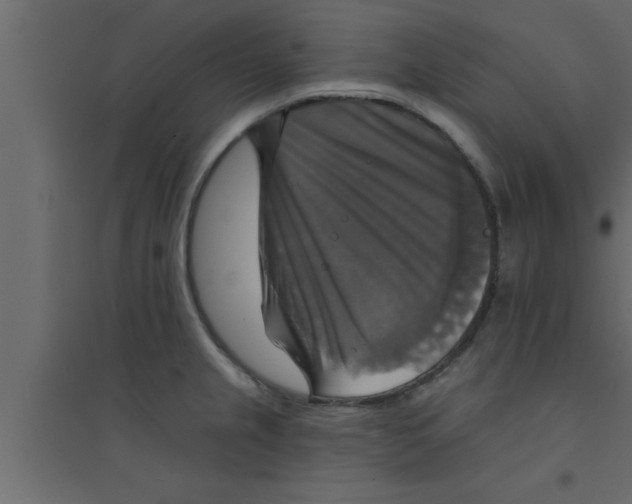 X0000094211237200711241653