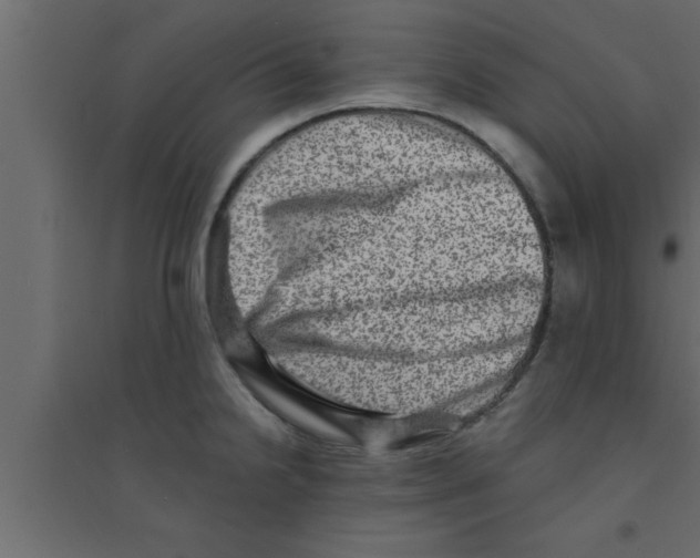 X0000094211238200711241653