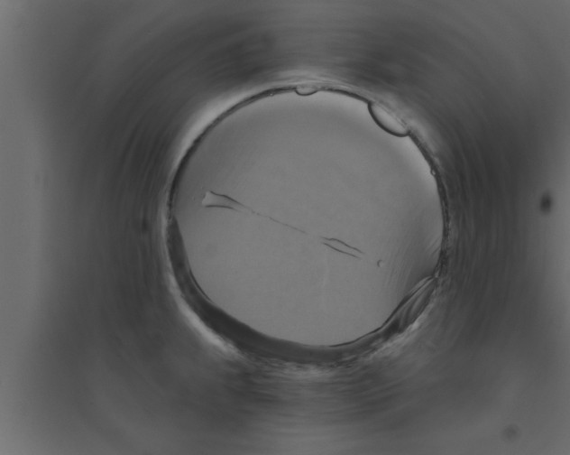 X0000094211239200711241653