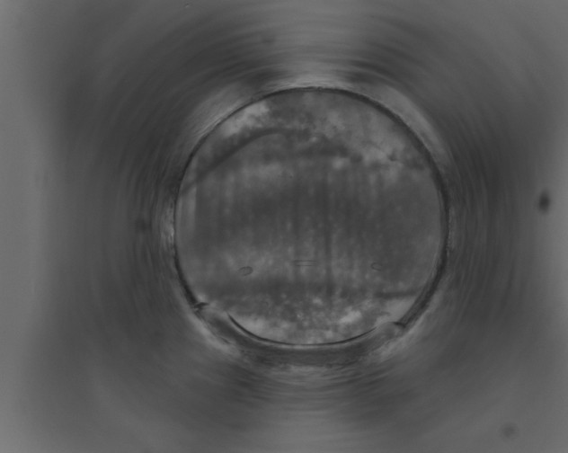 X0000094211241200711241653