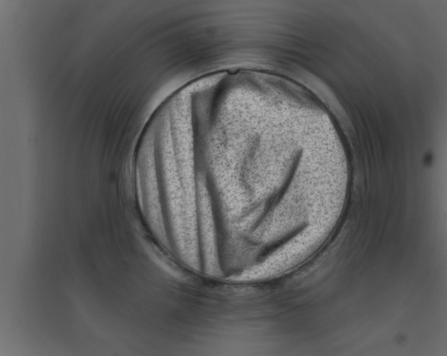 X0000094211242200711241653