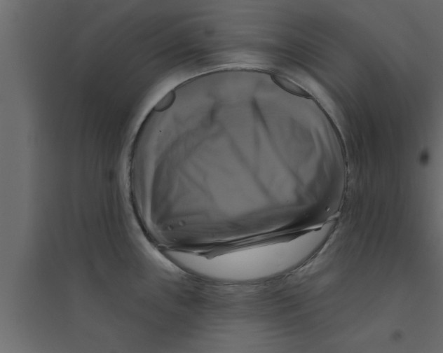 X0000094211243200711241653