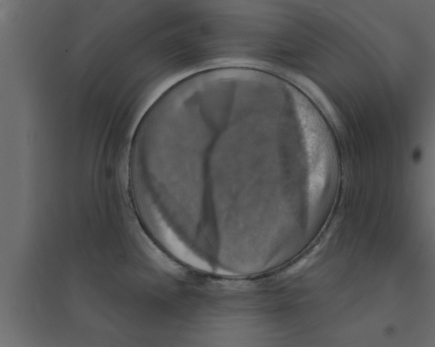 X0000094211244200711241653