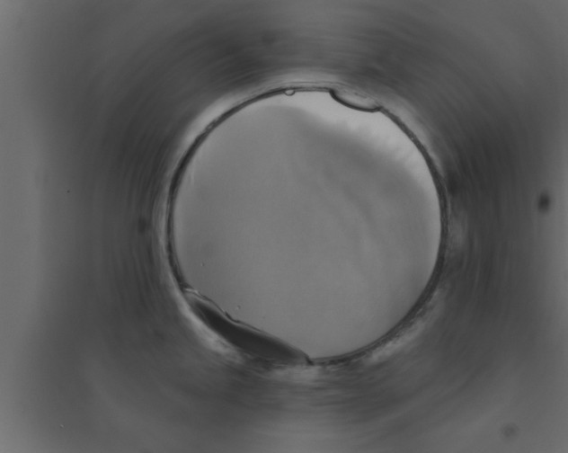 X0000094211245200711241653