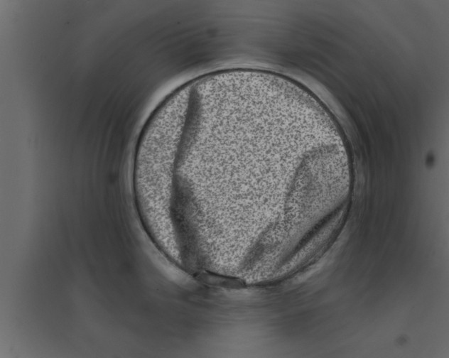 X0000094211246200711241653