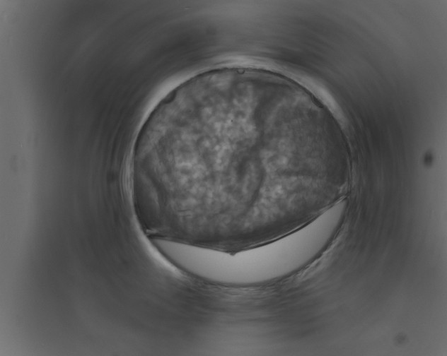 X0000094211247200711241653