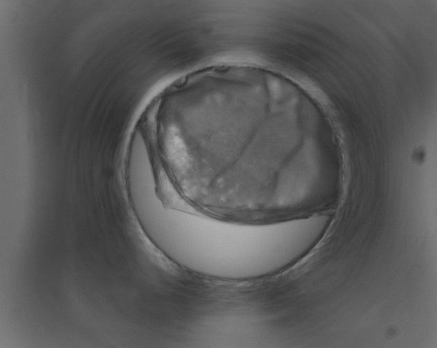 X0000094211248200711241653