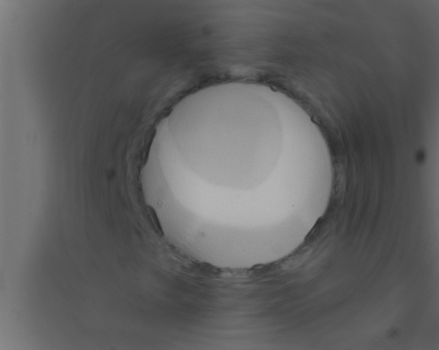 X0000094211249200711241652