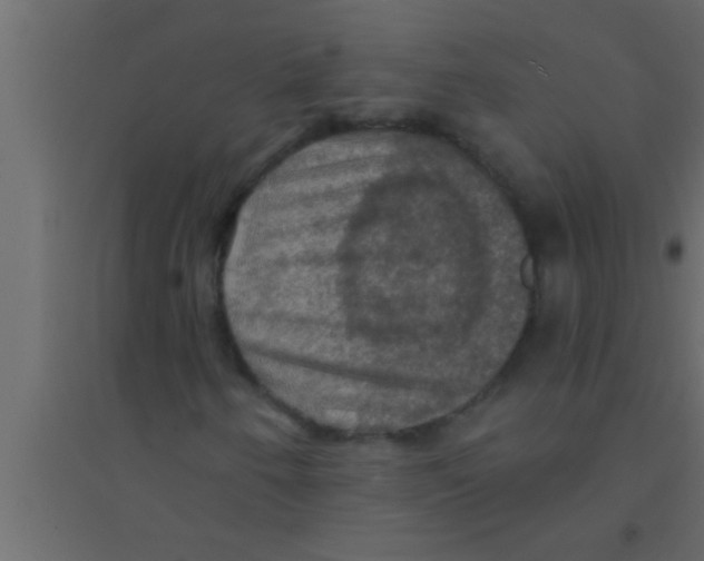 X0000094211250200711241652