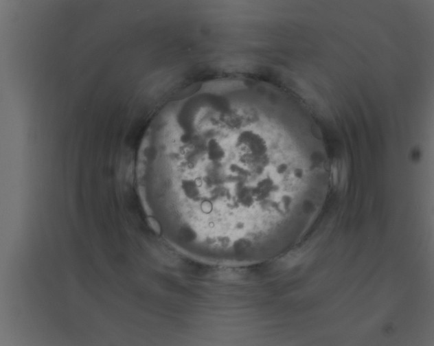 X0000094211251200711241652