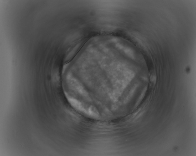 X0000094211252200711241652