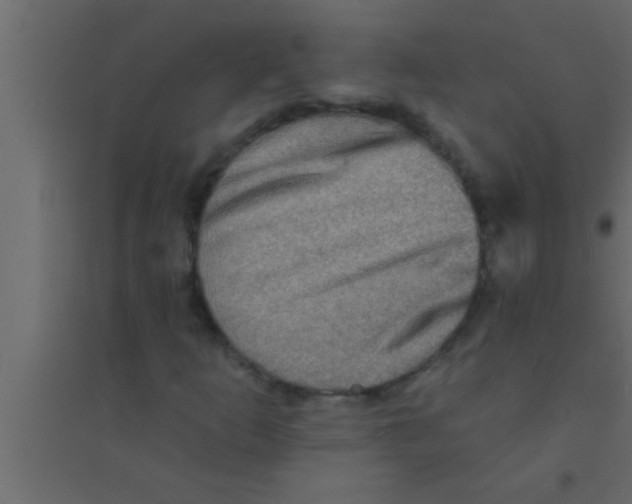 X0000094211253200711241652