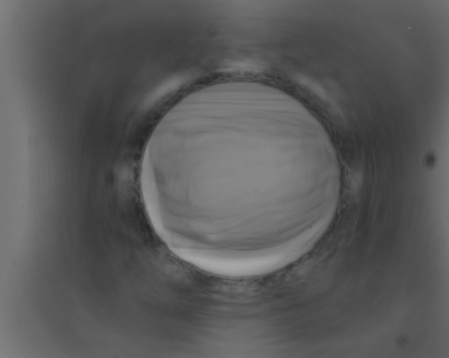 X0000094211254200711241652