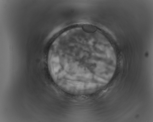 X0000094211255200711241652