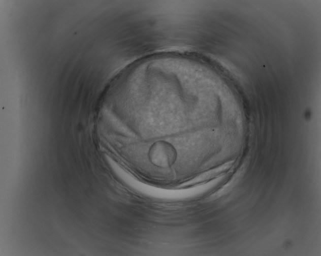 X0000094211257200711241652
