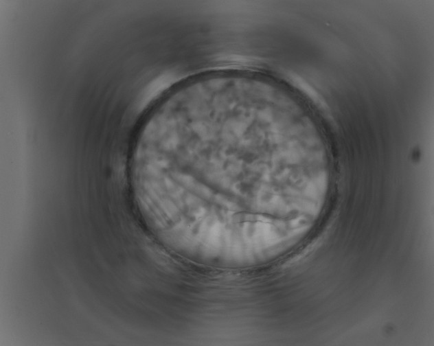 X0000094211259200711241652
