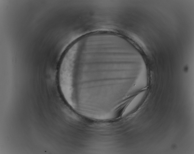 X0000094211260200711241652