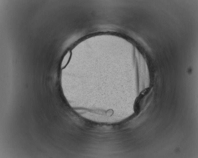X0000094211261200711241652