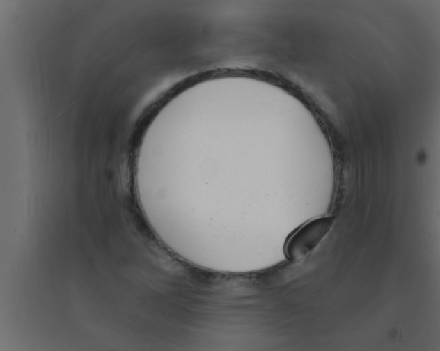 X0000094211262200711241652