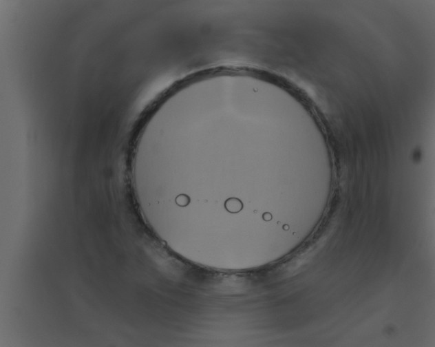 X0000094211263200711241652