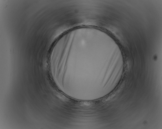X0000094211266200711241652