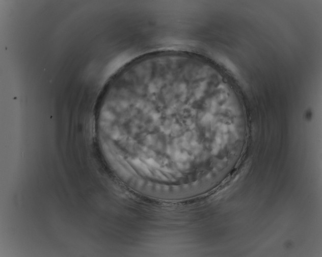 X0000094211267200711241652