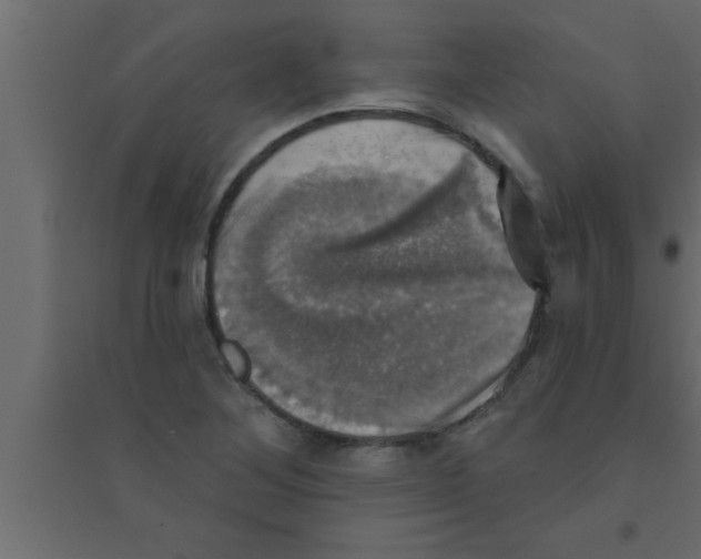 X0000094211268200711241652